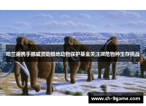 哈兰德携手挪威资助极地动物保护基金关注濒危物种生存挑战 哈兰德携手挪威资助极地动物保护基金关注濒危物种生存挑战