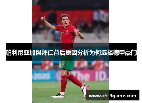 帕利尼亚加盟拜仁背后原因分析为何选择德甲豪门 帕利尼亚加盟拜仁背后原因分析为何选择德甲豪门