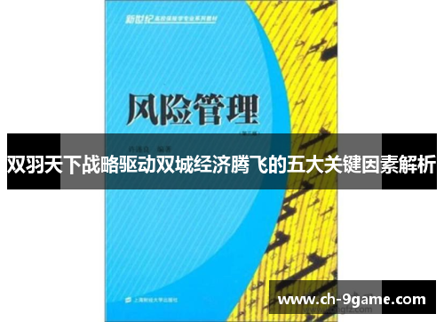 双羽天下战略驱动双城经济腾飞的五大关键因素解析 双羽天下战略驱动双城经济腾飞的五大关键因素解析